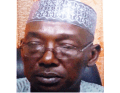 National Vice President